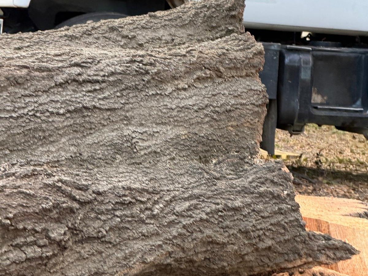 El Costeño Tree Service LLC